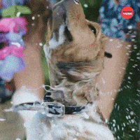Drying off
