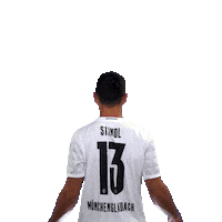 Lars Stindl Diefohlen Sticker by Borussia Mönchengladbach