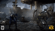 mk GIF by Mortal Kombat 11