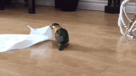 towel GIF