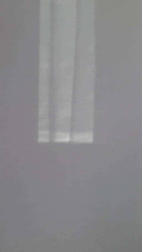 Simongip giphyupload GIF