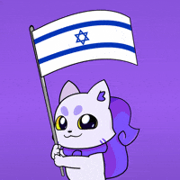 Tel Aviv Flag GIF by Lucky Kat Studios