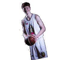 Basket Brno Sticker by ngbasket