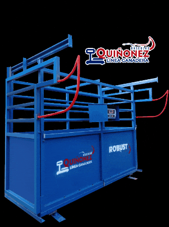 GrupoQuinonez giphygifmaker giphyattribution robusta quiñonez GIF