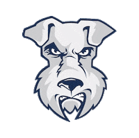 Wts Sticker by myflagfootball