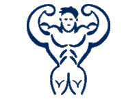 Gym Power Sticker by Pansport