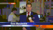 cheers GIF