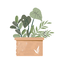 Flower Love Sticker by iWhite Korea Official