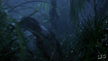jurassic park GIF by IFC