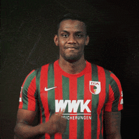 La Pantera Bundesliga GIF by FC Augsburg 1907