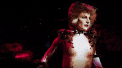 Cat GIF by Musical Vienna