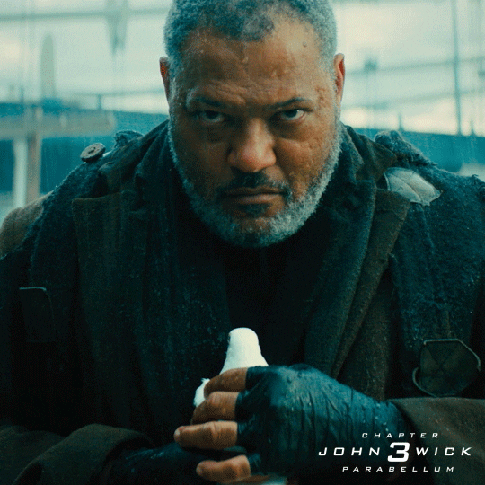 GIF by John Wick Chapter 3