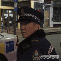 Wait What Reaction GIF by Wellington Paranormal
