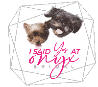 Puppy Love La Sticker by SecondSummerBrideSac