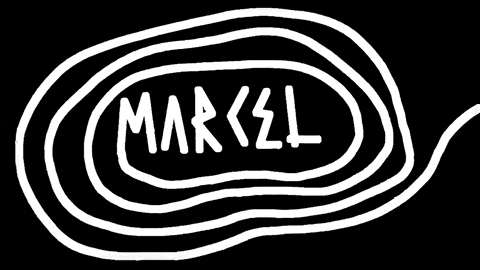 Ant Farm Eyewear GIF by Marcel Katz Dalí / The Art Plug
