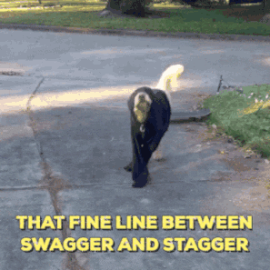Dog Stagger GIF