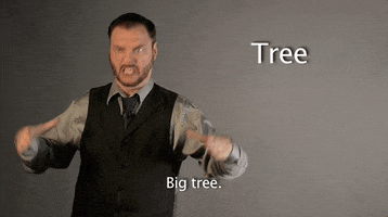 sign language tree GIF by Sign with Robert