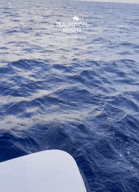 Mom Zusammen GIF by Trauminsel Reisen