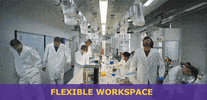 MerckKGaADarmstadtGermany work office lab curiosity GIF