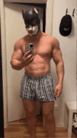 asteriavulgaris giphygifmaker GIF