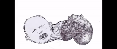 Animation GIF by Alex Boya