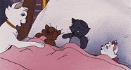 cat love GIF