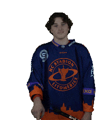 Sport Hokej Sticker by HCSTADION