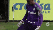 Palmeiras beijo palmeiras bola pantera GIF