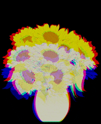 H13NrV flower flowers finger middle GIF