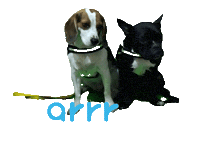 아르르 Sticker by arrr_official