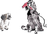 Fetch Best In Show Sticker by Vera Bradley