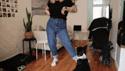 dance dog GIF