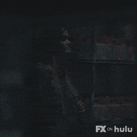 Missi Pyle Fx GIF by Y: The Last Man