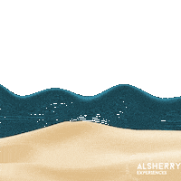 Beach Night Sticker by Alsherry Experiences