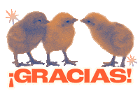 Vegan Gracias Sticker by Mercy For Animals Latinoamérica