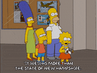 homer simpson episode 6 GIF