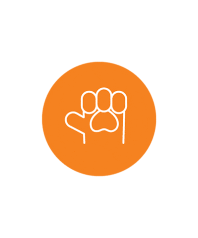 dogtopiacanada giphyupload dog puppy bone Sticker