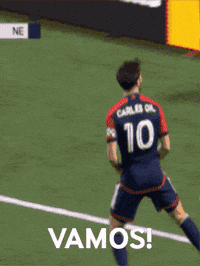 Happy New England Revolution GIF by Major League Soccer