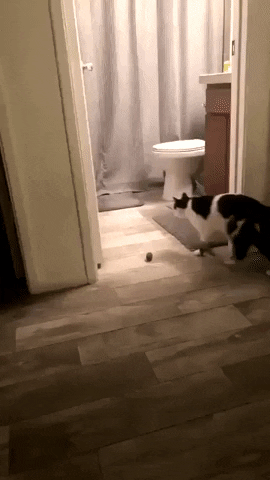 madmoizelledotcom  GIF