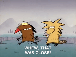 angry beavers nicksplat GIF
