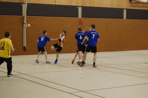 HSGLiGra giphyupload handball hsg lilienthal GIF