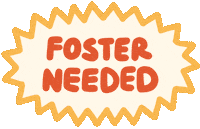 Animal Rescue Foster Sticker by Brooklyn Cat Cafe
