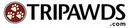 Paws Tri GIF by Tripawds