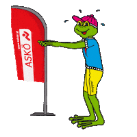Sport Frosch Sticker by ASKÖ Burgenland