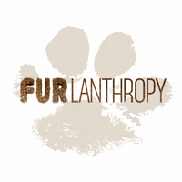 Furlanthropy charity pawsforacause petcrowdfunding furlanthropy GIF