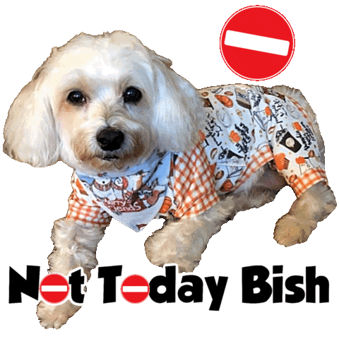 Sleepy Sticker by Pimp Yo Pets