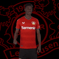 Peace Out GIF by Bayer 04 Leverkusen