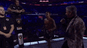Mixed Martial Arts Sport GIF by UFC