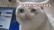 Meme Reaction GIF by Tokkingheads