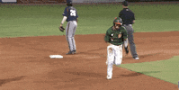 university of miami baseball GIF by Miami Hurricanes
